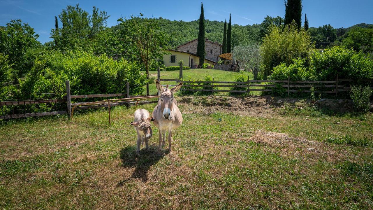 Agriturismo I Pietrini Perugia Eksteriør bilde